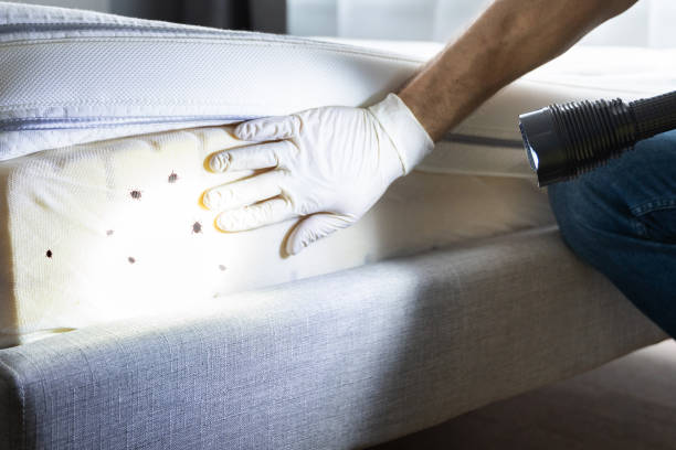 Best Best Pest Control Companies  in Lamont, MI