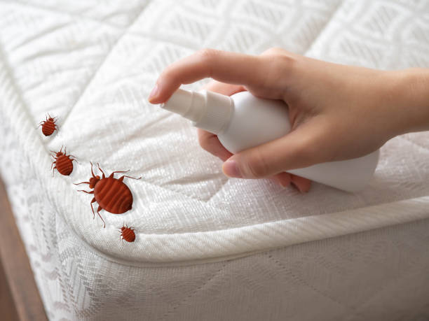 Best Commercial Pest Control Services  in Lamont, MI