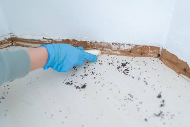 Best Pest Removal Services  in Lamont, MI